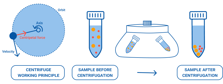 How Does a Centrifuge Work? A Practical Lab Guide